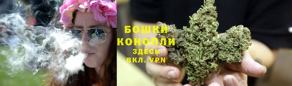 ГАЛЛЮЦИНОГЕННЫЕ ГРИБЫ Лабытнанги