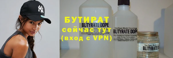 индика Санкт-Петербург