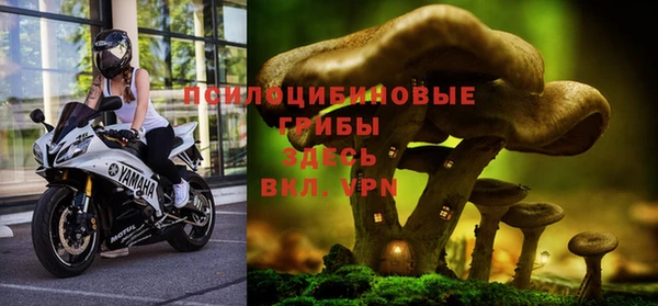 СК Ладушкин