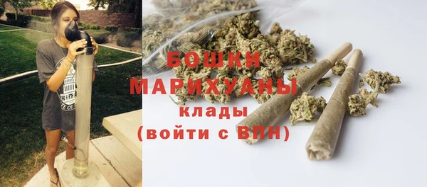 ГАЛЛЮЦИНОГЕННЫЕ ГРИБЫ Лабытнанги