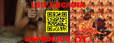 spice Новозыбков
