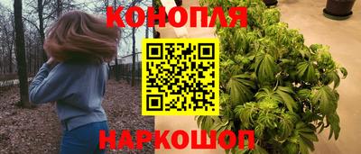 МДПВ Новокубанск