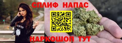 МДПВ Новокубанск