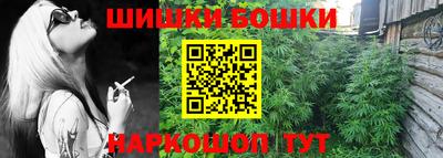 МДПВ Новокубанск