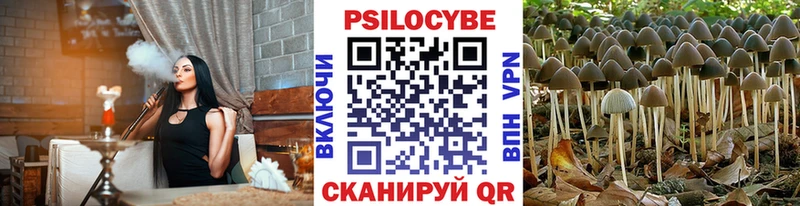закладка  Саянск  Галлюциногенные грибы мухоморы 
