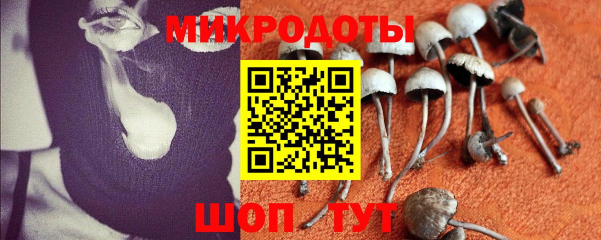 Псилоцибиновые грибы прущие грибы  Галлюциногенные грибы Cubensis  дарнет шоп  Саянск  Вход с VPN 