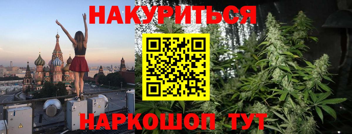 Каннабис сатива Саянск